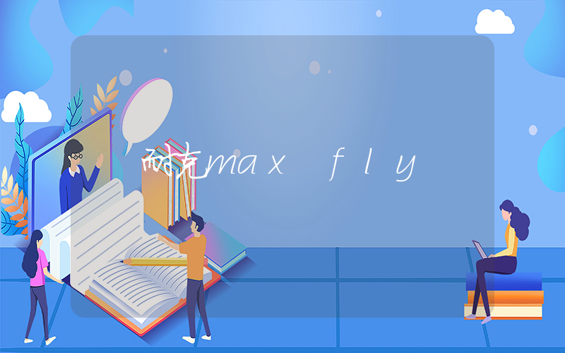 耐克max fly插图